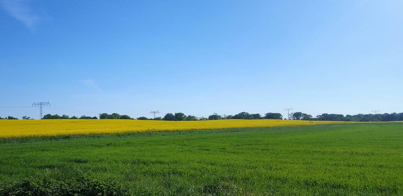 Ferienwohnung Finja In Putgarten, Kap Arkona Ruegen المظهر الخارجي الصورة